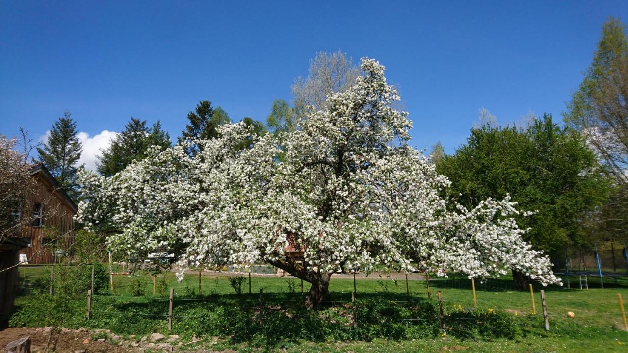 Roulotte Le Temps De Rever Bed and Breakfast Saint-Michel-sur-Meurthe Exterior foto